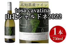 ワイン 人気 白 高知県産ワイン tosa cavatina 山北シャルドネ2022 (750ml×1本) - 白 辛口 お酒 さけ アルコール ボトル 瓶 ギフト 送料無料 高知県 香南市 冷蔵 iw-0004