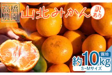 みかん 10kg 山北みかん 家庭用 露地(Ｓ～Ｍ)Ｂ品 小傷あり 高橋農園 - フルーツ 果物 くだもの 柑橘類 ミカン 蜜柑 小傷あり 家庭用 季節限定 期間限定 th-0011