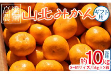 高橋農園 山北みかん5kg(露地・Ｓ～Ｍ) ×2箱  (合計10kg) - 果物 フルーツ 温州みかん ミカン 蜜柑 柑橘 甘い 送料無料 ギフト のし 贈り物 プレゼント 数量限定 期間限定 高知県 香南市 th-0012