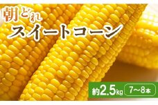 【2026年5月下旬より順次配送分】朝どれスイートコーン 2.5kg以上(7～8本) - トウモロコシ とうもろこし 野菜 国産 産地直送 期間限定 季節限定 旬彩ファームやまさき とうもろこし sy-0001