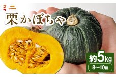 かぼちゃ 南瓜 ミニ栗かぼちゃ 約5kg 「坊ちゃん」- カボチャ 南瓜 パンプキン 野菜 国産 産地直送 期間限定 季節限定 旬彩ファームやまさき sy-0003