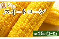  【2026年5月下旬より順次配送】とうもろこし スイートコーン 4.5kg(12～15本)  - トウモロコシ とうもろこし 野菜 国産 産地直送 期間限定 季節限定 旬彩ファームやまさき トウモロコシ sy-0002