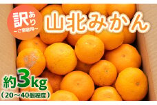 訳あり みかん 山北みかん 3kg 約20～40個入り 甘い - 果物 フルーツ 柑橘類 温州みかん ミカン 蜜柑 訳アリ わけあり 生産者応援 甘い おいしい 美味しい 山北みらい 高知県 香南市 yk-0047
