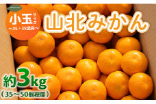 山北みかん 小玉サイズ(2S,3Sサイズ) 3kg 約35～50個入り 甘い - 果物 フルーツ 柑橘類 温州みかん ミカン 蜜柑 甘い おいしい 美味しい 山北みらい 高知県 香南市 yk-0048