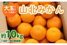 山北みかん 大玉サイズ(L,2Lサイズ) 10kg 約60～80個入り 甘い - 果物 フルーツ 柑橘類 温州みかん ミカン 蜜柑 甘い おいしい 美味しい 山北みらい 高知県 香南市 yk-0049