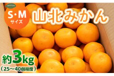 山北みかん (S,Mサイズ) 3kg 秀品 約25～40個入り 甘い - 果物 フルーツ 柑橘類 温州みかん ミカン 蜜柑 甘い おいしい 美味しい 山北みらい 高知県 香南市 yk-0050