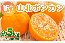 ぽんかん 訳あり 5kg(約30～50個程度) わけあり 山北ポンカン - 果物 フルーツ 柑橘類 ぽんかん ミカン 蜜柑 訳アリ わけあり 生産者応援 甘い おいしい 美味しい 山北みらい 高知県 yk-0051