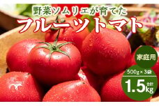 【先行受付】野菜ソムリエが育てた 家庭用 フルーツトマト 合計1.5kg(500g×3袋) 甘い 高知 うしの恵 - 野菜 とまと 産地直送 料理 アレンジ サラダ 完熟 甘い あまい フレッシュ さっぱり 酸味 うしの恵 小分け おいしい 国産 高知県 香南市 mj-0021