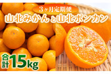 みかん 定期便 3回 合計15kg 山北みかん 10kg 80~120玉 山北ポンカン 5kg 30~50玉 秀品 甘い - 果物 フルーツ 柑橘類 温州みかん ぽんかん ミカン 蜜柑 甘い おいしい 美味しい 山北みらい 高知県 香南市 Wyk-0032