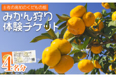 みかん狩り体験チケット 4名分(１０月中旬～１２月中旬頃) - ミカン狩り 蜜柑狩り 柑橘 フルーツ 利用券 旅行 観光 高知県 香南市 kd-0019