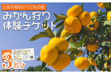 みかん狩り体験チケット 3名分(１０月中旬～１２月中旬頃) - ミカン狩り 蜜柑狩り 柑橘 フルーツ 利用券 旅行 観光 高知県 香南市 kd-0018