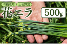 花ニラ 500g - 有機栽培 土佐野菜 にら 韮 生 やさい 葉物 新鮮 料理 アレンジ 炒めもの 炒め物 おひたし 味噌汁 煮物 鍋 なべ もつ鍋 産地直送 国産 高知県 香南市 bf-0001