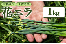 花ニラ 1kg - 有機栽培 土佐野菜 にら 韮 生 やさい 葉物 新鮮 料理 アレンジ 炒めもの 炒め物 おひたし 味噌汁 煮物 鍋 なべ もつ鍋 産地直送 国産 高知県 香南市 bf-0002
