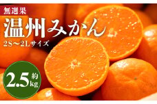 みかん 温州みかん 2.5kg 小玉大玉 柑橘 【無選果】 大小混合 フルーツ 果物 山のてっぺん間城農園みかん 甘い 山北みかん - ミカン 蜜柑 柑橘 柑橘類 フルーツ 果物 くだもの 甘い サイズ混合 高知県 香南市 ms-0071