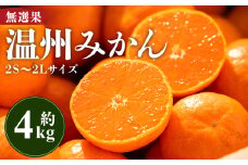 みかん 温州みかん 4kg 小玉大玉 柑橘 【無選果】 大小混合 フルーツ 果物 山のてっぺん間城農園みかん 甘い 山北みかん - ミカン 蜜柑 柑橘 柑橘類 フルーツ 果物 くだもの 甘い 家庭用 サイズ混合 高知県 香南市 ms-0072