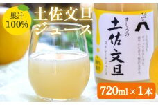 文旦ジュース ストレート 果汁100％ 1本 720ml 糖度13度以上 山のてっぺん間城農園 - ぶんたん フルーツ 果物 くだもの 柑橘 国産 果実 ドリンク 飲み物 ms-0069