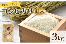 米 3kg 新米 愛情注いで育てたコシヒカリの新米3kg - こしひかり お米 白米 精米 ご飯 ごはん 株式会社都築企画 高知県 香南市 td-0003