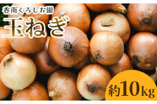 玉ねぎ 10kg 家庭用 先行予約 野菜 高知 大小混合 - 香南市産 国産 たまねぎ タマネギ 玉葱 野菜 オニオンスープ ハンバーグ 常備野菜 保存野菜 香南くろしお園 高知県 香南市 ke-0006
