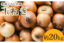 玉ねぎ 20kg 家庭用 先行予約 野菜 高知 大小混合 - 香南市産 国産 たまねぎ タマネギ 玉葱 野菜 オニオンスープ ハンバーグ 常備野菜 保存野菜 香南くろしお園 高知県 香南市 ke-0008