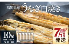  蒲焼きタレ付きうなぎ 白焼き 1kg以上 10尾×100～120g 鰻 大容量 国産 鰻 ウナギ 有頭 背開き つまみ ご飯のお供 老舗 土佐湾 吉川水産 うなぎ蒲焼き タレ付き 高知県 香南市 冷凍 7日程度 yw-0082