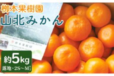 栁本果樹園の山北みかん 5kg(露地・2S～M) - 果物 フルーツ 柑橘類 温州みかん ミカン 蜜柑 甘い おいしい のし 贈り物 期間限定 季節限定 数量限定 高知県 香南市 yg-0011