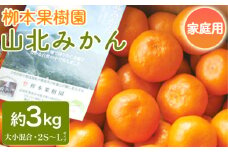 家庭用 柳本果樹園の山北みかん 3kg 大小混合(2S～L) - 果物 フルーツ 柑橘類 温州みかん ミカン 蜜柑 甘い おいしい 訳あり キズ 大小混合 期間限定 季節限定 数量限定 高知県 香南市 yg-0012