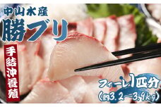ぶり 半身 鰤 フィレ 約3.2kg～3.9kg 刺身 期間限定 魚 ぶり 鰤 寒ブリ 海鮮 鮮魚 魚介類 切り身 海の幸 ギフト お刺身 煮物 焼き魚 おかず 産地直送 のし対応可 高知県 香南市 ny-0011