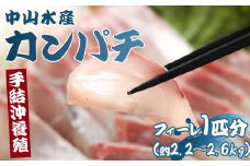 カンパチ カンパチフィレ 鮮魚 約2.2kg～2.6kg かんぱち 刺し身 手結沖養殖 - 期間限定 魚 かんぱち 海鮮 鮮魚 魚介類 切り身 海の幸 ギフト お刺身 煮物 焼き魚 おかず 手結沖養殖 産地直送  高知県 香南市 ny-0008
