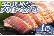 マグロ ハランボ たたき 1節 天然マグロ メバチマグロ ハランボ(腹身) たたき たたきのタレ付き - 鮪 まぐろ 赤身 寿司 刺身 丼 おつまみ 海の幸 高知県 香南市 oo-0004