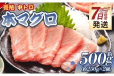 【7日程度で発送】本マグロ 養殖 計約500g 2冊 本まぐろ 中トロ 本鮪 まぐろ ブロック - 鮪 まぐろ 寿司 刺身 海鮮丼 漬け丼 カルパッチョ おつまみ 海産物 魚介 海の幸 高知県 香南市 まぐろ ﾏｸﾞﾛ マグロ 中トロ oo-0002