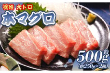本マグロ 大トロ  2冊 養殖 計約500g - 鮪 まぐろ 寿司 刺身 海鮮丼 漬け丼 カルパッチョ おつまみ 海産物 魚介 海の幸 高知県 香南市 oo-0001