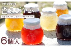 ジャム 詰め合わせ 6個 香るジャム(山桃・小夏・ゆず・すもも・文旦・黒ぶどう) - 手作り 手づくり jam フルーツ 果肉 果物 くだもの フルーツ 風味 こだわり パン トースト 詰め合わせ 詰合せ セット 6種類 国産 高知県産 浜幸 香南市 ho-0002