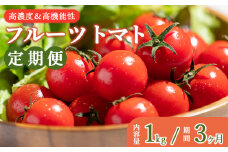 フルーツトマト 定期便 1kg 3カ月 高糖度 高機能性 定期便 合計3kg - 甘美の舞 期間限定 季節限定 野菜 やさい フルティカ 完熟 ミニトマト プチ 新鮮 お弁当 贈り物 サラダ 産地直送 高知県 香南市 Wkr-0032