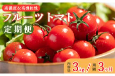 フルーツトマト定期便 高糖度＆高機能性 フルーツトマト 3kg 3カ月定期便 合計9kg - 甘美の舞 期間限定 季節限定 野菜 やさい フルティカ 完熟 ミニトマト プチ 新鮮 お弁当 贈り物 サラダ 産地直送 高知県 香南市 Wkr-0038
