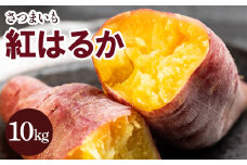 さつまいも 紅はるか10kg - サツマイモ さつま芋 野菜 焼き芋 やきいも 焼いも おやつ スイーツ スイートポテト 天ぷら 国産 高知県 香南市 gr-0133