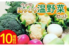 野菜セット まさに旬 ほっこり温野菜セット -お野菜詰め合わせ 朝採れ 朝採り 新鮮 お手軽 簡単調理 ブロッコリー 人参 にんじん ニンジン カリフラワー 大根 だいこん かぶ カブ 鍋 炒め 蒸し 無農薬 産地直送 特産品 旬彩ファームやまさき 高知県 香南市 sy-0006