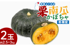 かぼちゃ 南瓜 2玉 約2.5～3kg 冬至といえば栗かぼちゃ 冬限定 -冬至かぼちゃ 栗かぼちゃ カボチャ ホクホク 甘い 簡単調理 使いやすい 栄養豊富 ポタージュ スープ プリン 煮物 新鮮 無農薬 産地直送 旬彩ファームやまさき 高知県 香南市 sy-0008