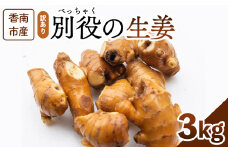 生姜 家庭用 3kg 高知 香南市産 別役の生姜 - しょうが ショウガ ジンジャー 薬味 調味料 国産 訳アリ 家庭用 キズ 株式会社べっちゃく 高知県 香南市 bc-0018