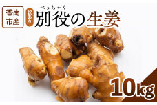 生姜 家庭用 10kg 香南市産 別役の生姜 - しょうが ショウガ ジンジャー 薬味 調味料 国産 訳アリ 家庭用 キズ 株式会社べっちゃく 高知県 香南市 bc-0021