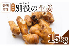 生姜 15kg 訳あり 香南市産 別役の生姜 - しょうが ショウガ ジンジャー 薬味 調味料 国産 訳アリ 家庭用 キズ 株式会社べっちゃく 高知県 香南市 bc-0022