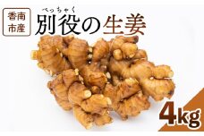 生姜 4kg 香南市産 別役の生姜 - しょうが ショウガ ジンジャー 薬味 調味料 国産 株式会社べっちゃく 高知県 香南市 bc-0015