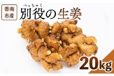 生姜 20kg 香南市産 別役の生姜 - しょうが ショウガ ジンジャー 薬味 調味料 国産 株式会社べっちゃく 高知県 香南市 bc-0024
