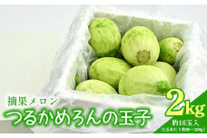 メロン つるかめろんの玉子(摘果メロン) 2kg 約16玉 - マスクメロン めろん フルーツ くだもの 果物 おやつ おつまみ アレンジ 料理 お漬物 お漬け物 炒め物 天ぷら 子メロン 小さい 産地直送 篤農 tn-0015