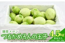 メロン つるかめろんの玉子(摘果メロン) 4.5kg 約36玉 - マスクメロン めろん フルーツ くだもの 果物 おやつ おつまみ アレンジ 料理 お漬物 お漬け物 炒め物 天ぷら 子メロン 小さい 産地直送 篤農 tn-0016