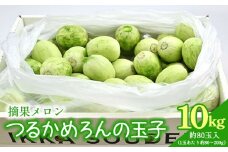 マスクメロンの子メロン つるかめろんの玉子(摘果メロン) 10kg 約80玉 - マスクメロン めろん フルーツ くだもの 果物 おやつ おつまみ アレンジ 料理 お漬物 お漬け物 炒め物 天ぷら 子メロン 小さい 産地直送 篤農 tn-0017