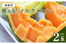 【11月以降順次配送】＜家庭用メロン＞雅&妃マスクメロン 赤肉 青肉 各1玉 メロン ますくめろん めろん 赤肉 果物 くだもの フルーツ 甘い デザート 贈答 ギフト プレゼント 産地直送 高知県 青肉 訳あり 一果相伝 青肉 フルーツ メロン 果物 赤肉メロン セット 糖度 産地直送 篤農 tn-0026