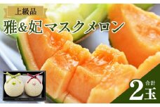【赤青セット】メロン 赤肉 青肉 ２玉 高級 上級品 雅&妃 マスクメロン 各１玉 先行受付 - 青肉メロン 赤肉メロン セット めろん フルーツ くだもの 果物 完熟 おやつ 化粧箱入り ご褒美 果肉 果汁 ジューシー 果実 甘い 糖度 産地直送 篤農 tn-0027