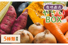 野菜 野菜セット 5種類前後 やさいＢＯＸ やすらぎ市 産地直送 - 野菜 ベジタブル おまかせ 詰め合わせ セット 季節 旬 お任せ お楽しみ ヘルシー 国産 特産品 やすらぎ市 高知県 香南市 yr-0027