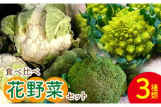 【先行受付】食べ比べセット ブロッコリー カリフラワー ロマネスコ 全3種 - やさい 詰め合わせ 詰合せ 簡単料理 朝採れ 新鮮 無農薬 産地直送 旬彩ファームやまさき 高知県 香南市「2026年1月中旬より順次配送」 sy-0007