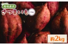 さつまいも （土佐紅）2kg 2025年出荷分 - サツマイモ さつま芋 野菜 焼き芋 やきいも 焼いも おやつ スイーツ スイートポテト バター焼き アレンジ 料理 国産 高知県 香南市 yr-0042